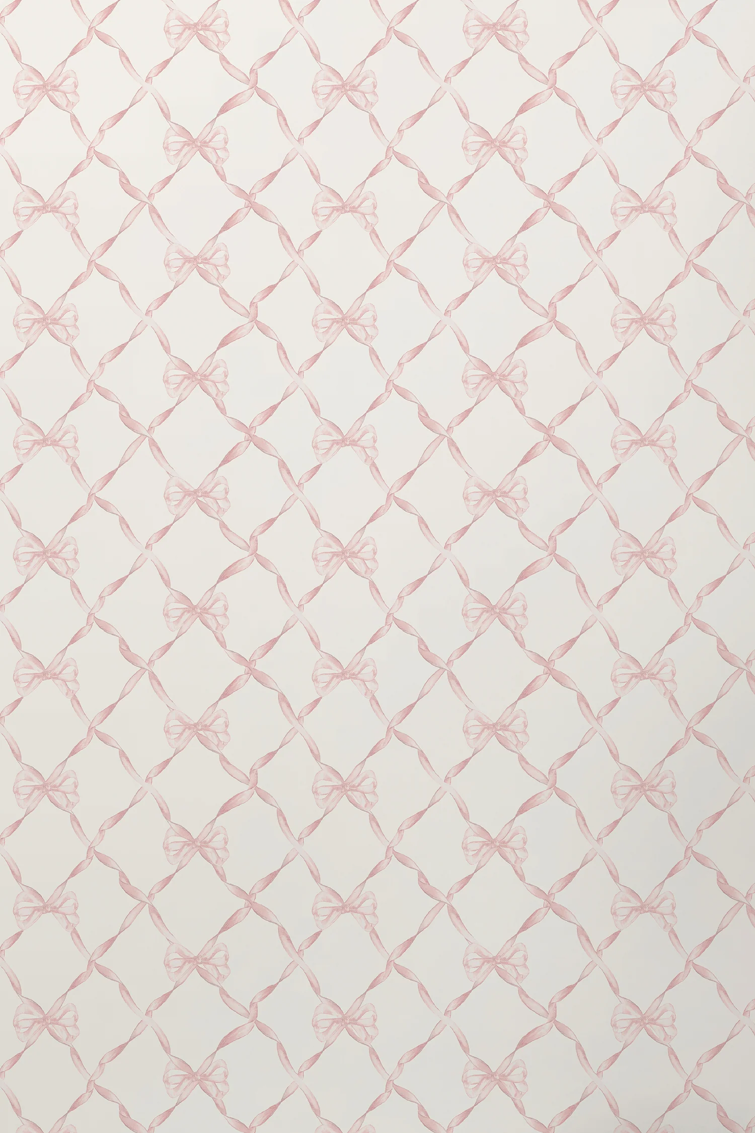 Baby Bow Standard Wallpaper