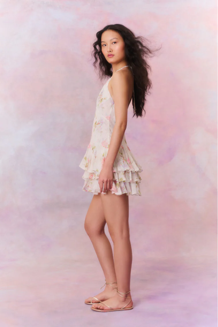 Adrinette Chiffon Halter Mini Dress