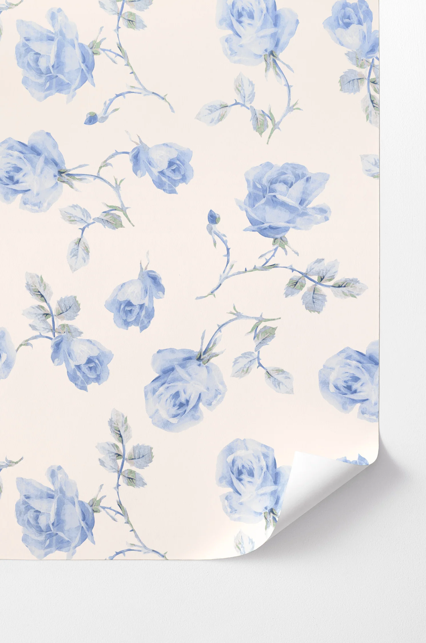 French Blue Ribbon Rosa Peel and Stick Wallpaper