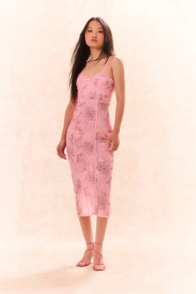 Tresor Lace Bustier Midi Dress